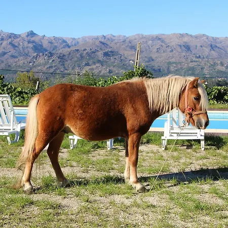 Tatil parkı Casa Da Gaiteira