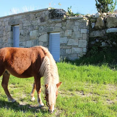 Casa Da Gaiteira Vieira do Minho