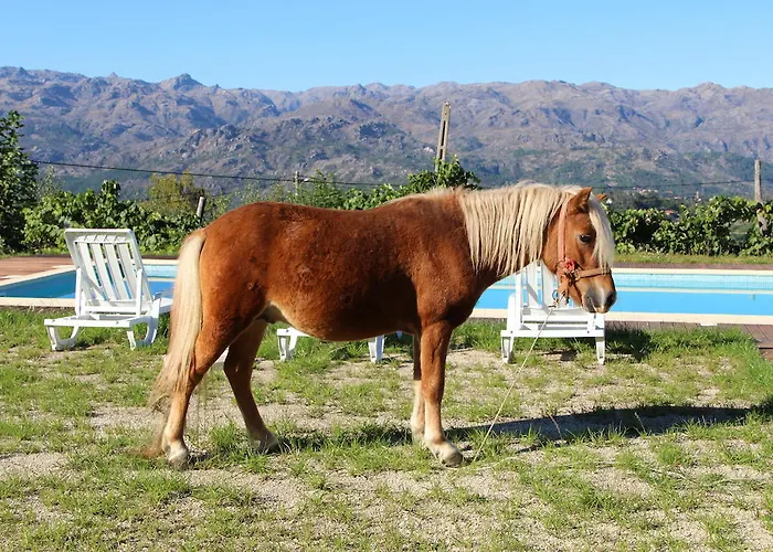 Parco vacanze Casa Da Gaiteira