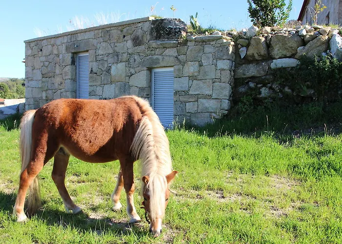 Casa Da Gaiteira Vieira do Minho
